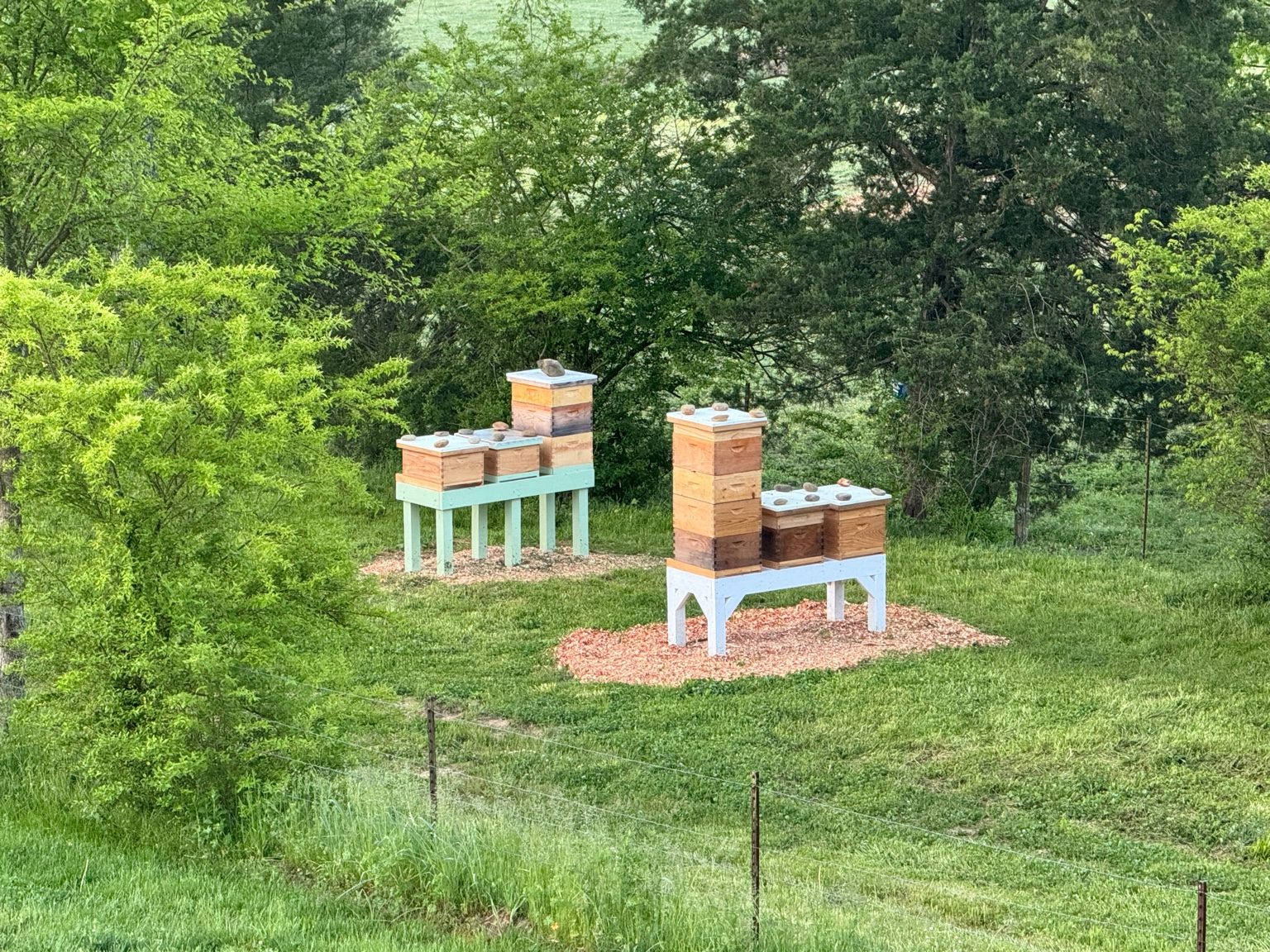 Bluecoat Bees hives